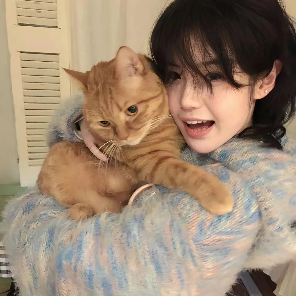 银河英雄传说 Die Neue These 邂逅